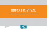 BREVET MUSICAL DÉPARTEMENTAL