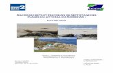Macrodéchets et pratiques de nettoyage des plages du ...
