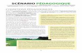 SCÉNARIO PÉDAGOGIQUE - Lecture
