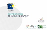 RAPPORT FINAL DE MESURE D’IMPACT - Fondation PSA