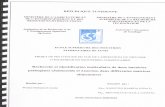 FileList Convert a pdf file! - IAEA