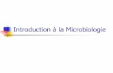 Introduction à la Microbiologie - cours, examens