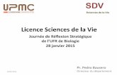 LicenceSciencesdelaVie - sorbonne-universite.fr
