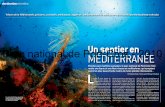Trésors de la Méditerranée, poissons, crustacés