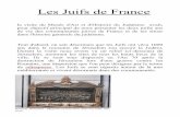 Les Juifs de France - histoire.ac-versailles.fr