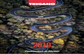 2019 - trigano-finance.com