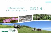 Rapport 2014 d’activités
