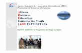 African Business Education Initiative for Youth (ABE ...