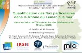 Quantification des flux particulaires dans le Rhône du ...