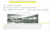 Le muséum d'Histoire naturelle de Marseille : un panorama