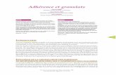 Adhérence et granulats - IFSTTAR