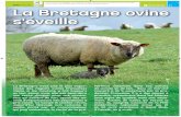 15 avril 2016 La Bretagne ovine s'éveille