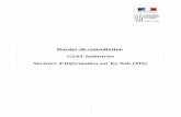 Dossier de consultation GIAT Industries - Cher