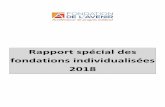 Rapport spécial des fondations individualisées 2017