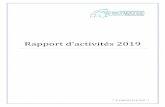 Rapport d’activités 2019 - Afrewatch