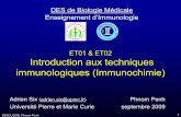 DES de Biologie Médicale Enseignement d’Immunologie
