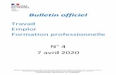 Bulletin officiel - Ministère du Travail, de l'Emploi et ...