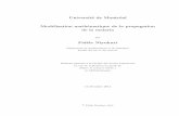 Université de Montréal Modélisation mathématique de la ...