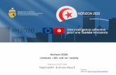 Horizon 2020 Sciences with and for Society