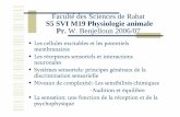 Faculté des Sciences de Rabat S5 SVI M19 Physiologie ...