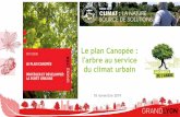 Le plan Canopée : l'arbre au service du climat urbain