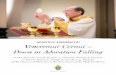 Apostolic Exhortation Veneremur Cernui – Down in Adoration ...