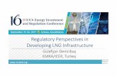 Regulatory Perspectives in Developing LNG Infrastructure