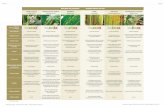 Descriptif des principales maladies foliaires du maïs