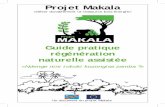 Projet Makala - Cirad