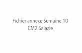 Fichier annexe Semaine 10 CM2 Salazie - ac-reunion.fr