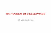 PATHOLOGIE DE L’OESOPHAGE