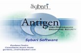 Sybari / Antigen