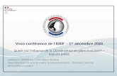 Visio-conférence de l’IDEF – 1 décembre 2020