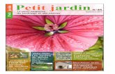 P 3 Travaux du mois P 17 Sites Web jardin P 4 Tendance Jardin