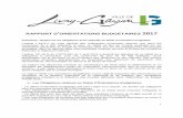 RAPPORT D ORIENTATIONS BUDGETAIRES 2017 - Ville de Livry ...