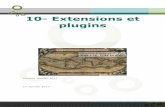 10- Extensions et plugins - GéoInformations