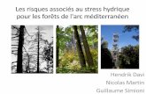 Les risques associés au stress hydrique pour les forêts de ...