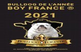 BULLDOG DE L’ANNÉE BOY FRANCE ® 2021