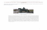 Le cavalier du Pont-Neuf : histoire, restauration et ...