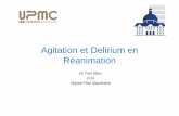 Agitation et Delirium en Réanimation