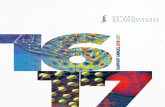 2017 2016 RAPPORT ANNUEL