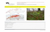 Laurier-cerise - Info Flora