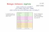 Biologie Cellulaire végétale L3 S5