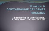Chapitre 6 CARTOGRAPHIE DES GENES HUMAINS