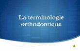 La terminologie orthodontique