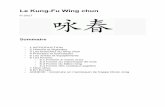 Le Kung-Fu Wing chun - tousvoslivres.com