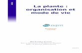 La plante : organisation et mode de vie