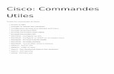 Cisco: Commandes Utiles