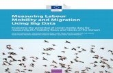 Measuring Labour Mobility and Migration Using Big Data