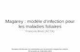 Magarey : modèle d'infection pour les maladies foliaires